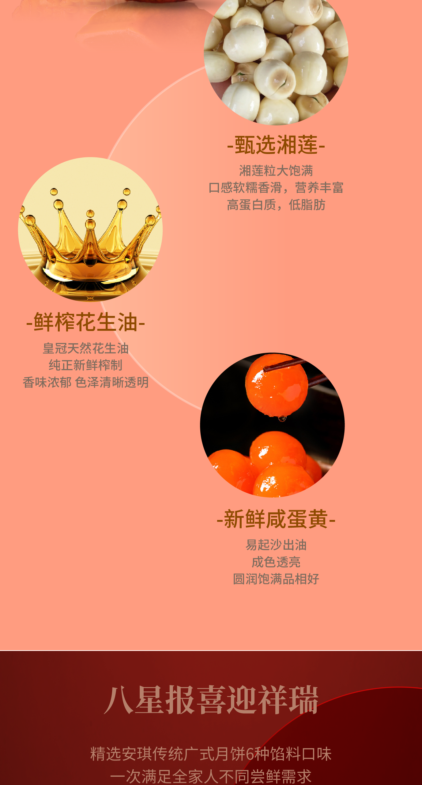 模版（八星报喜）安琪2024详情图 切图-02.png